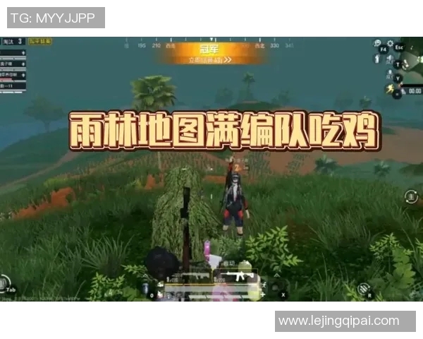 和平精英新手必看团队协作技巧与入门指南助你快速上手游戏