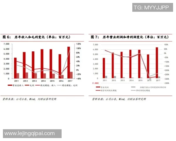 职业联赛中JDG耐力表现分析与未来发展潜力探讨